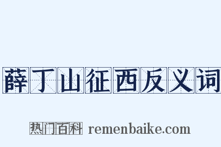 薛丁山征西反义词是什么意思的图片